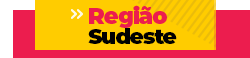 PraCegoVer: banner com fundo rosa e caixa em amarelo com o texto Região Sudeste