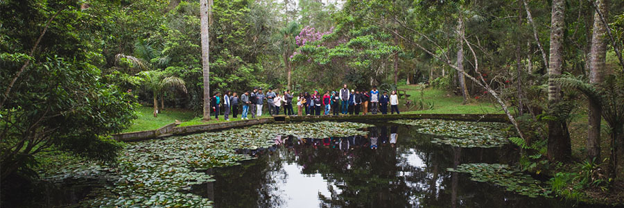 Foto de crianças em fila em trilha ao lado de um lago repleto de vitórias régias. Ao fundo árvores típicas da Mata Atlântica.