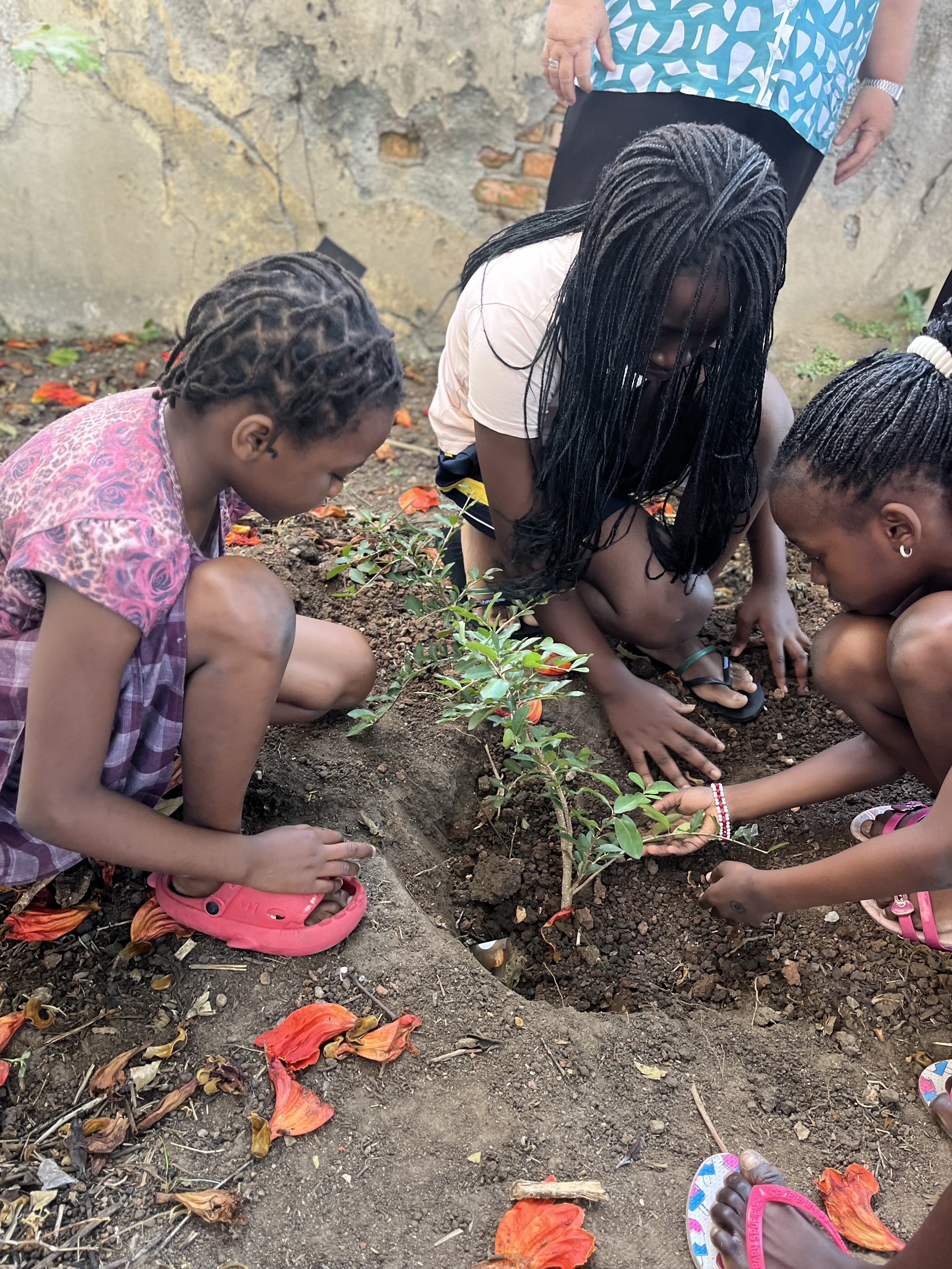 Crianças atendidas no CEAMI Scalabriniana planta pé de acerola