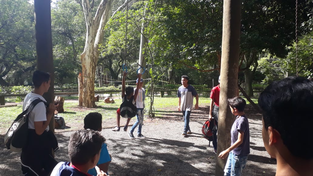 Aproximadamente nove conviventes brincam no parque Ibirapuera rodeados por árvores e cordas para brincadeiras