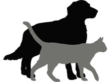 Cadastramento pode ser feito em pet shops e clínicas veterinárias
