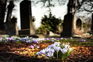 Flores sob o túmulo
