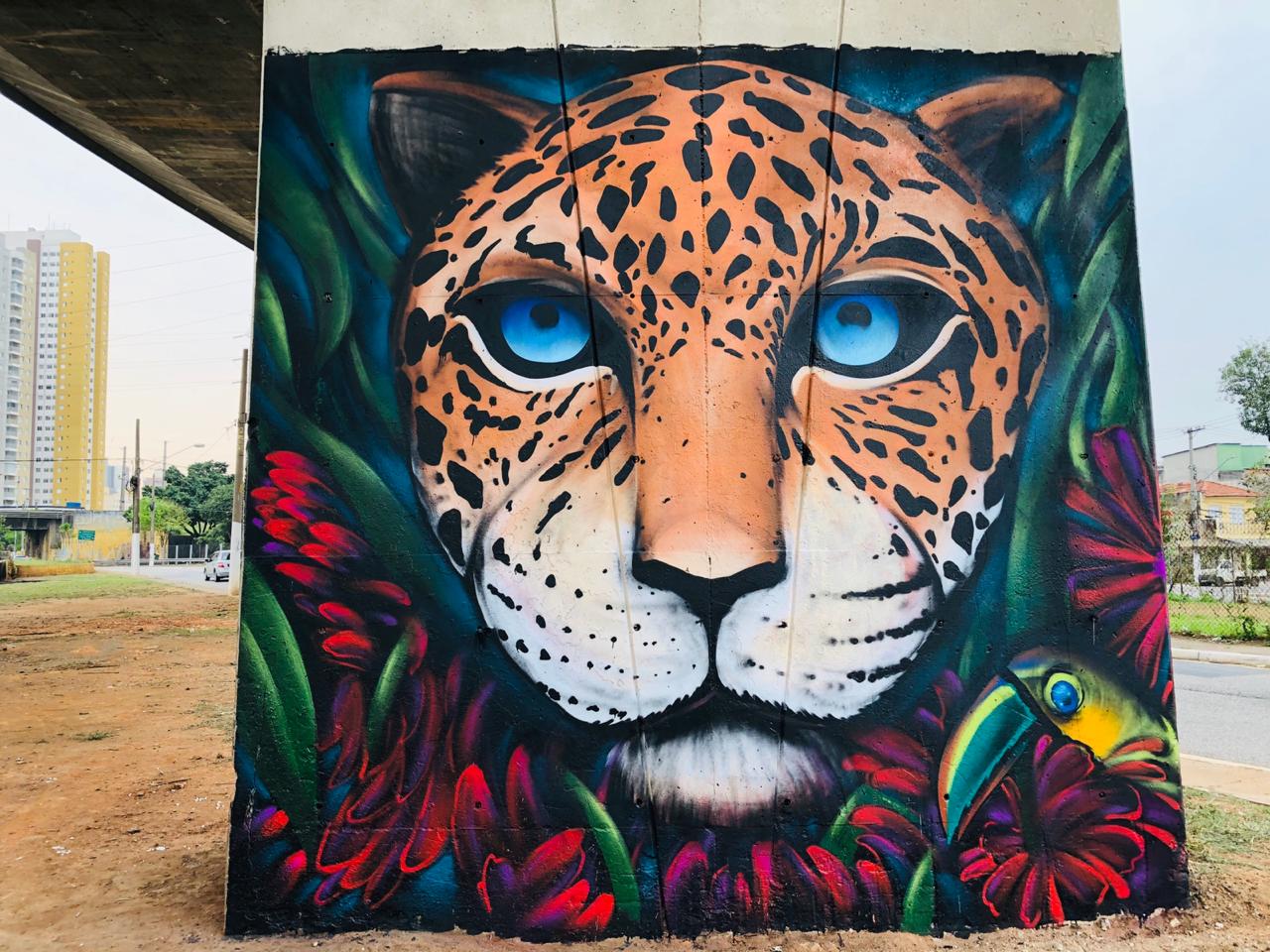 Os muros da região receberam grafites com a temática de animais em extinção