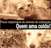 Na parte de cima, a foto de uma gato, e na parte de baixo, a de um cachorro. No meio, uma faixa preta com os dizeres: Posse responsável de animais de estimação - quem ama cuida!