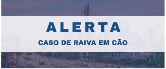 Fundo com uma foto da ponte espraiada, sombra na cor azul e titulo na cor azul