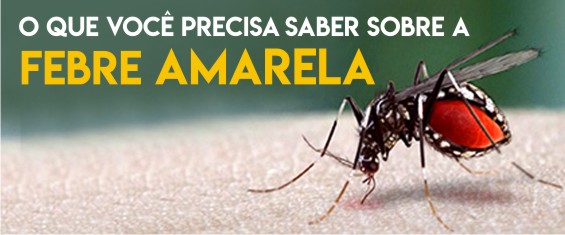 #PraCegoVer: fundo verde, título "o que você precisa saber sobre a Febre Amarela" na cor branca e amarela. A imagem é composta por uma foto de um mosquito sob a pele de uma pessoa