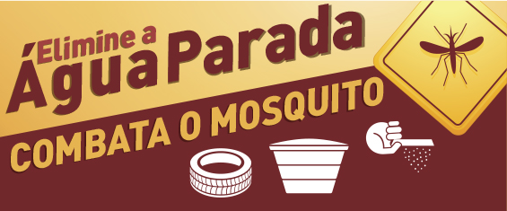 Fundo dourado e vermelho, titulo na cor vermelha, subtitulo na cor dourada, ilustrações de um mosquito, pneu, caixa de água e regador