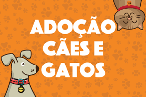 Num fundo laranja com pegadas de cachorros está escrito Adoção Cães e Gatos. Há ilustrações de um cachorro e um gato.