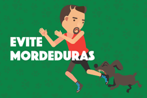 Num fundo verde com ilustrações de pegadas de animais, o texto diz: Evite mordeduras. Há a ilustração de um cachorro mordendo um homem