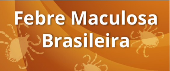 Ilustrações de carrapatos