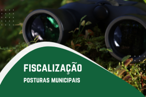 posturas municipais