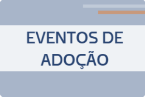 Imagem com o fundo azul claro e o título centralizado na cor azul escuro