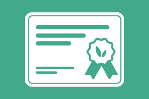 Imagem de certificado em branco no fundo verde