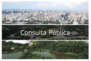 Consulta Pública