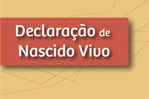 #PraCegoVer: O título "Declaração de nascido vivo" está na parte superior esquerda da imagem, destacado por uma faixa. O fundo é liso com 6 linhas que sobem e descem.