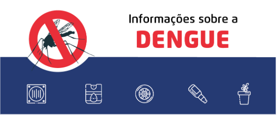 Informações sobre a dengue