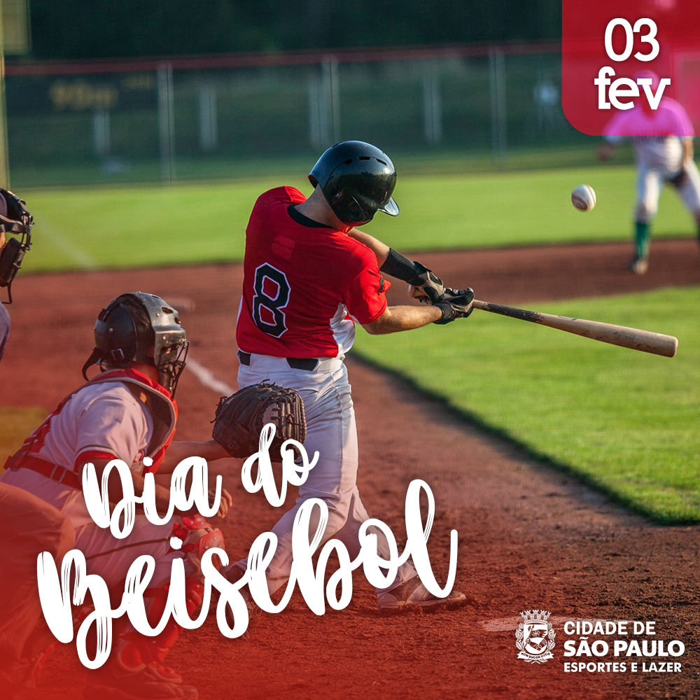 Jogador De Beisebol. Dia Do Jogo. Baixar Uma Foto De Alta