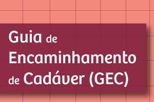 Guia de Encaminhamento de Cadaver