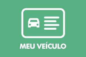 Ilustração com linhas e palavras brancas num fundo verde contendo as palavras "meu veículo" e um retângulo com ilustração de um carro e simulação de escrita.