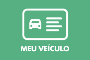 Ilustração com linhas e palavras brancas num fundo verde contendo as palavras 