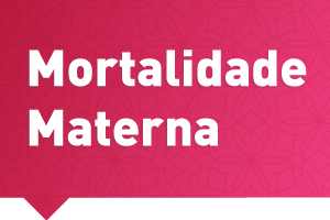 #PraCegoVer: a arte possui fundo vermelho e ilustrações que lembram flores. Em letras brancas está escrito: Mortalidade Materna.