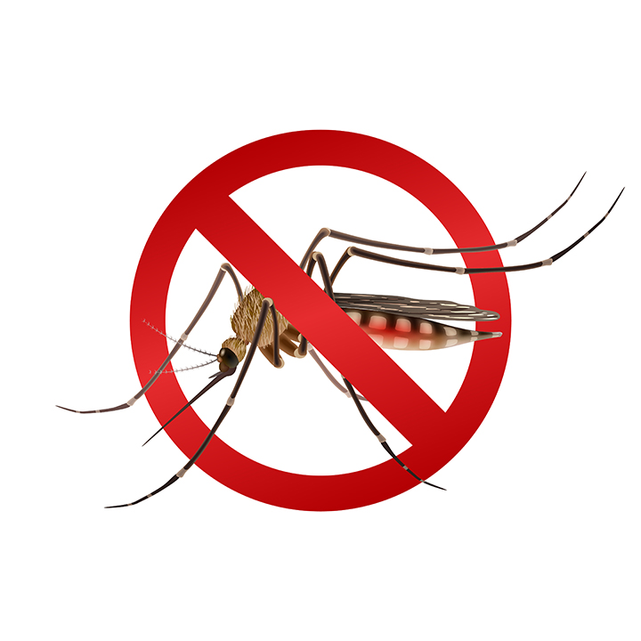 Imagem ilustrativa de um mosquito e uma placa em cima