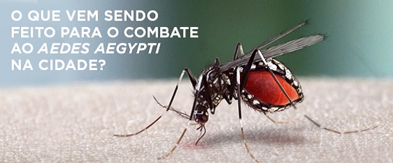 ações de combate ao mosquito Aedes aegypti