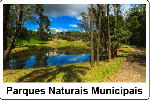 Parque com lago e árvores ao redor, céu azul