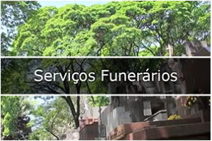 foto de árvore e embaixo vários túmulos e no meio escrito   Serviços Funerários.