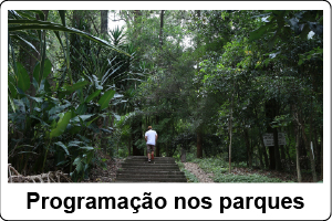 parque municipal da cidade de são paulo, abaixo o texto Programação nos parques.