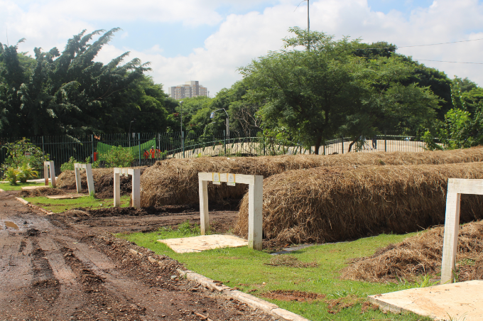 A imagem mostra as leiras (local que o composto é produzido) e algumas árvores ao fundo.