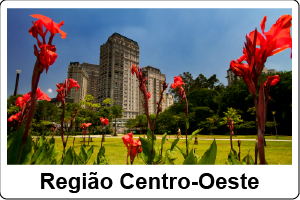 Parque com prédios ao fundo e flores avermelhadas a frente