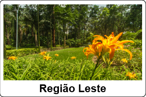 Gramado com flores amarelas a frente