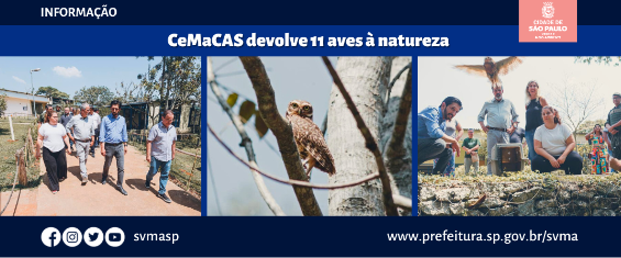 Prefeito Ricardo Nunes em visita ao CeMaCAS e a soltura da coruja e os dizeres CeMaCAS devolve 11 aves à natureza