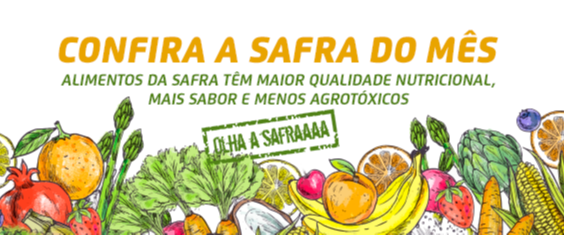 Em laranja, está escrito "Confira a safra do mês". Embaixo, em verde, "Alimentos da safra têm maior qualidade nutricional, mais sabor e menos agrotóxicos". Há ilustrações de frutas também.