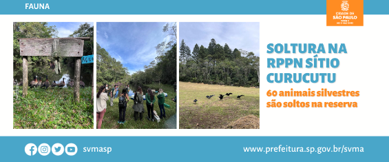 Fotos de soltura na reserva natural do Sítio Curucutu e os dizeres: 60 animais silvestres são soltos na reserva.