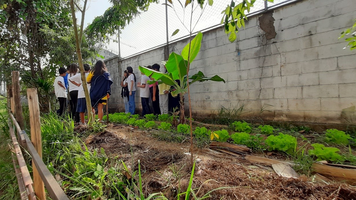 O equipamento público que já tem um projeto de horta escolar pretende dar um destino melhor aos seus resíduos orgânicos