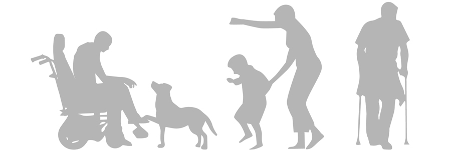 Imagem com fundo branco, com ilustração lúdica de quatro pessoas e um cão-guia na cor cinza. Duas delas são pessoas com deficiência ou mobilidade reduzida, sendo que uma está em cadeira de rodas e outra se apoia em muletas. Há também uma criança acompanhada da mãe.
