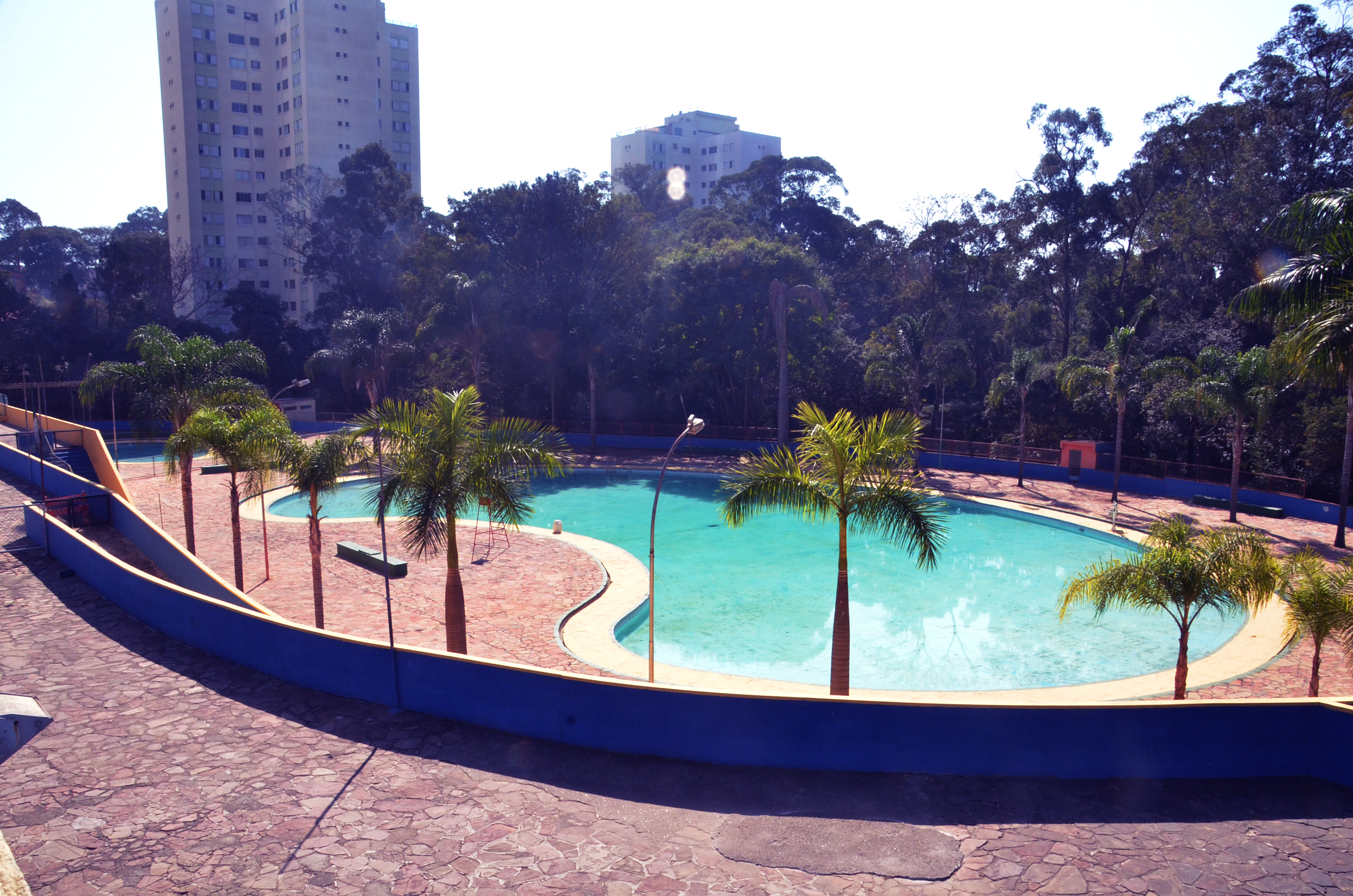 Foto do Centro Esportivo Pirituba durante o dia. No centro da imagem estão algumas palmeiras e, atrás delas, a piscina.