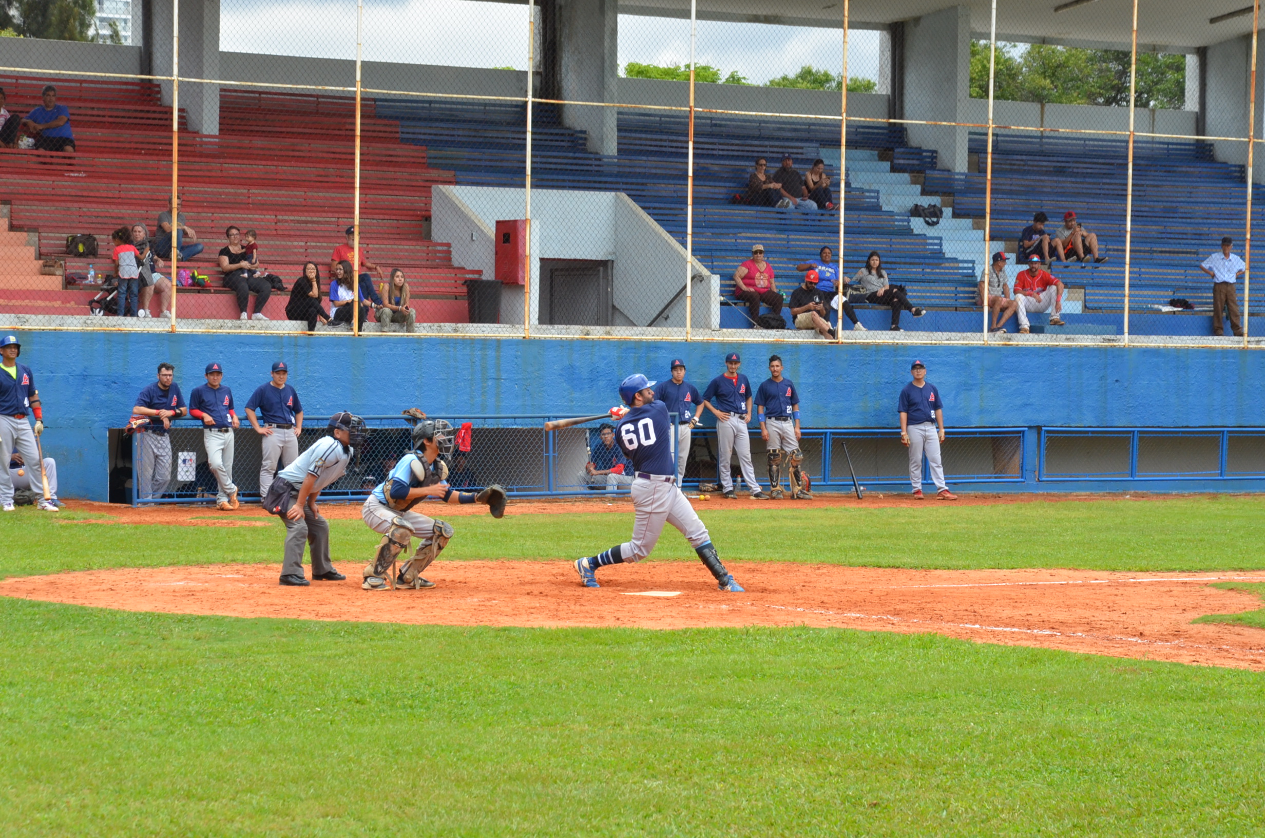 Federação Paulista de Beisebol e Softbol