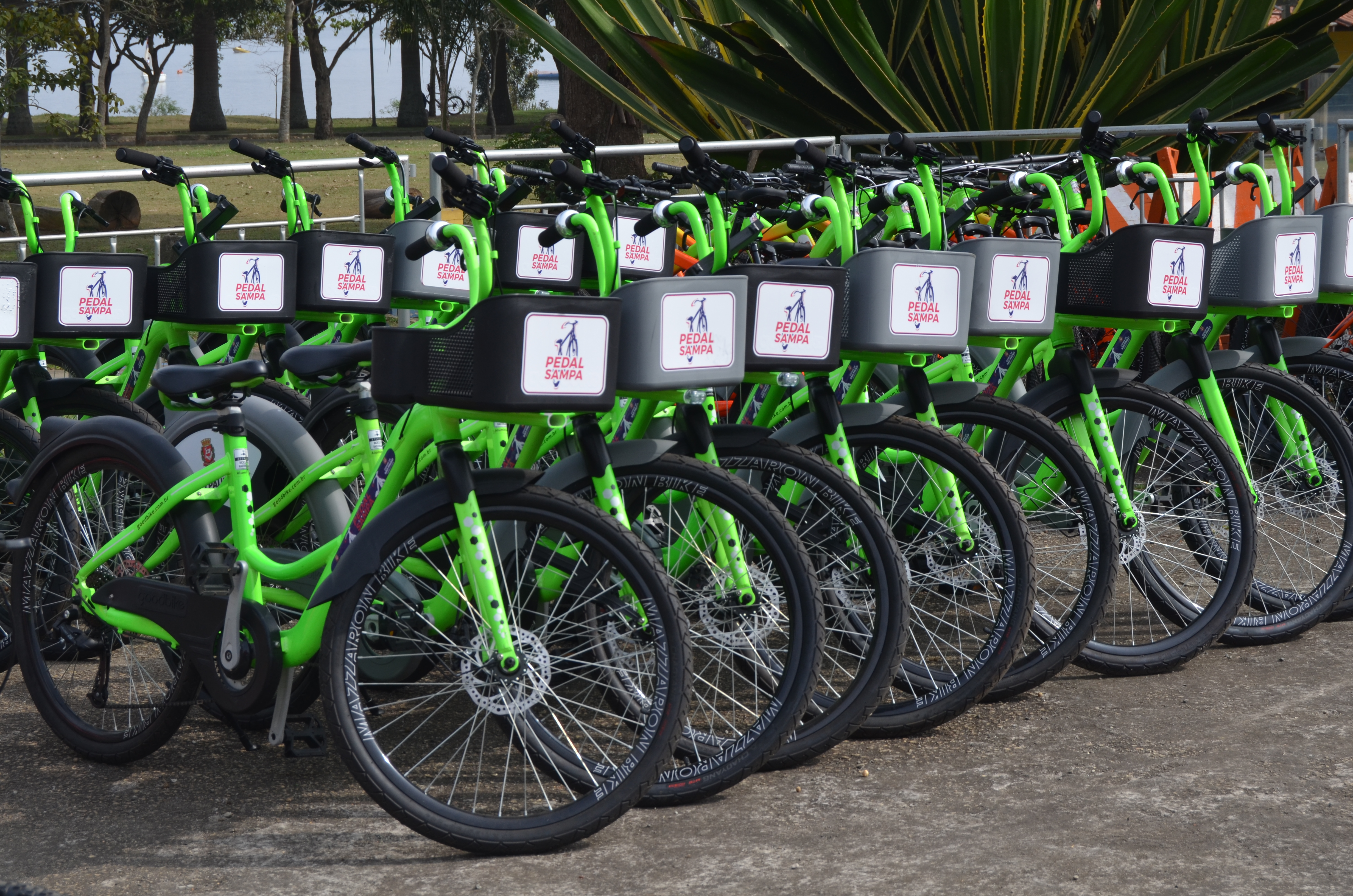 Na imagem, bicicletas do projeto Pedal Sampa.