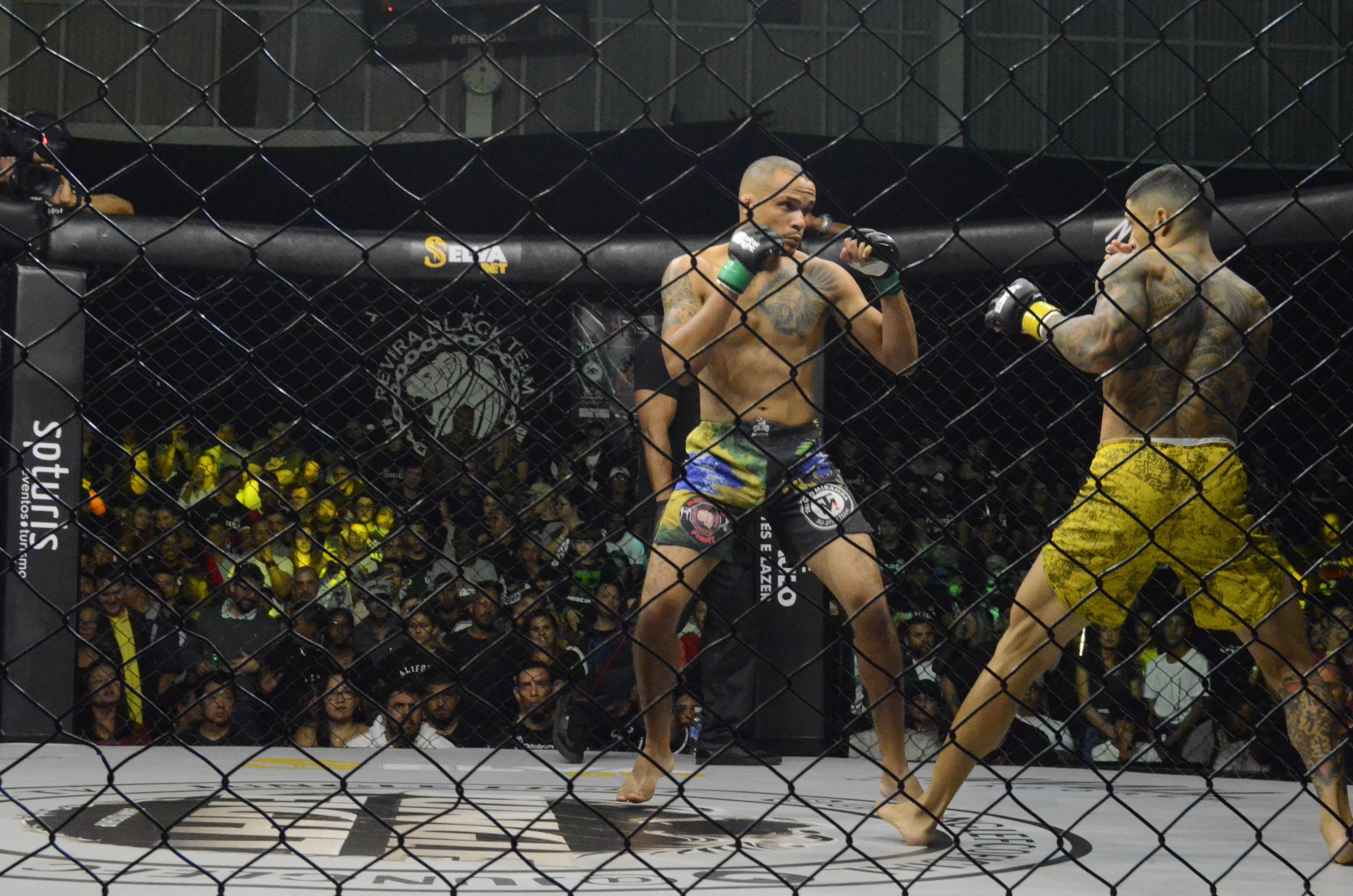 Na imagem, dois lutadores dentro do ringue em combate.