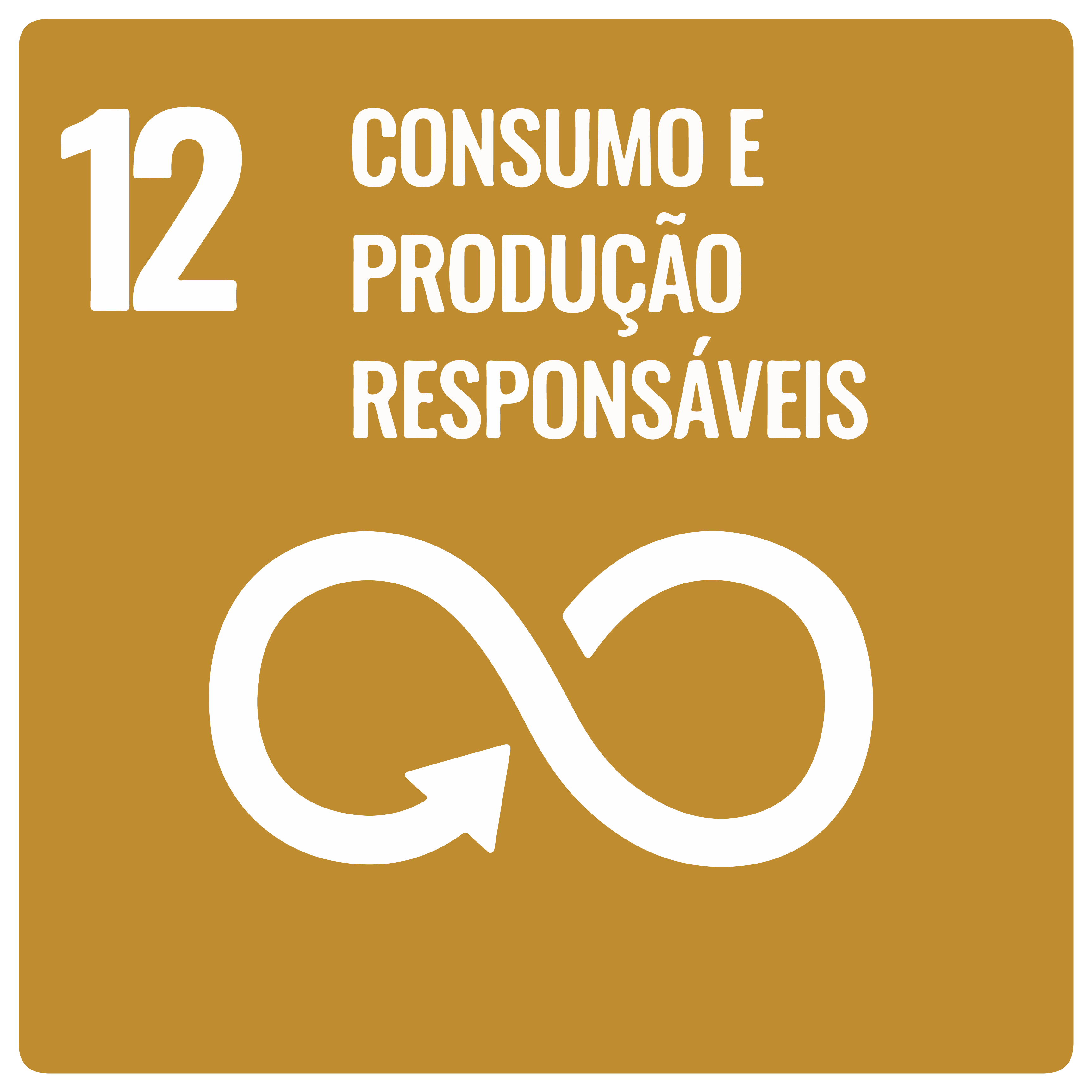 Na imagem, item 12 da ODS: Consumo e Produção Responsáveis