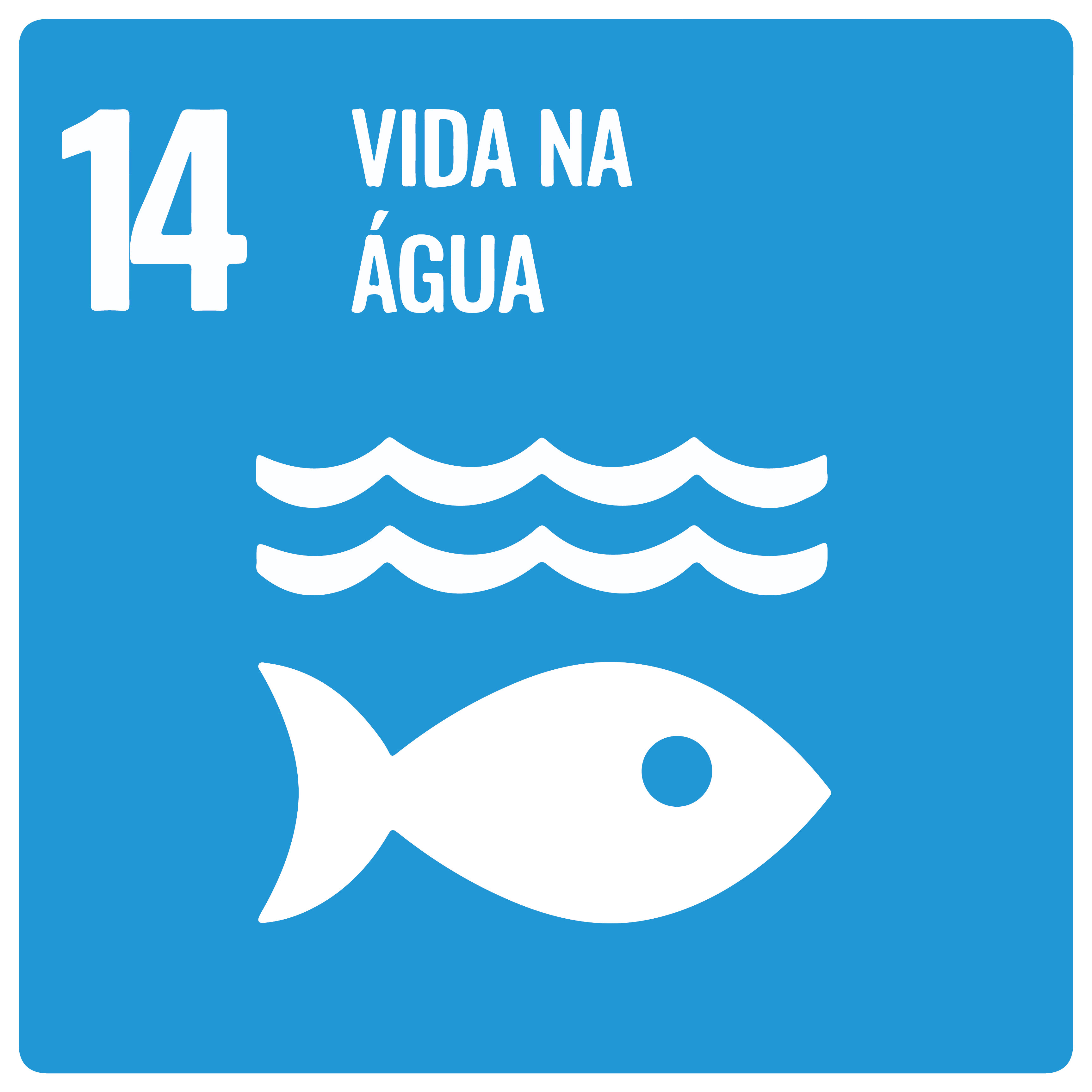 Na imagem,item 14 da ODS: Vida na Água