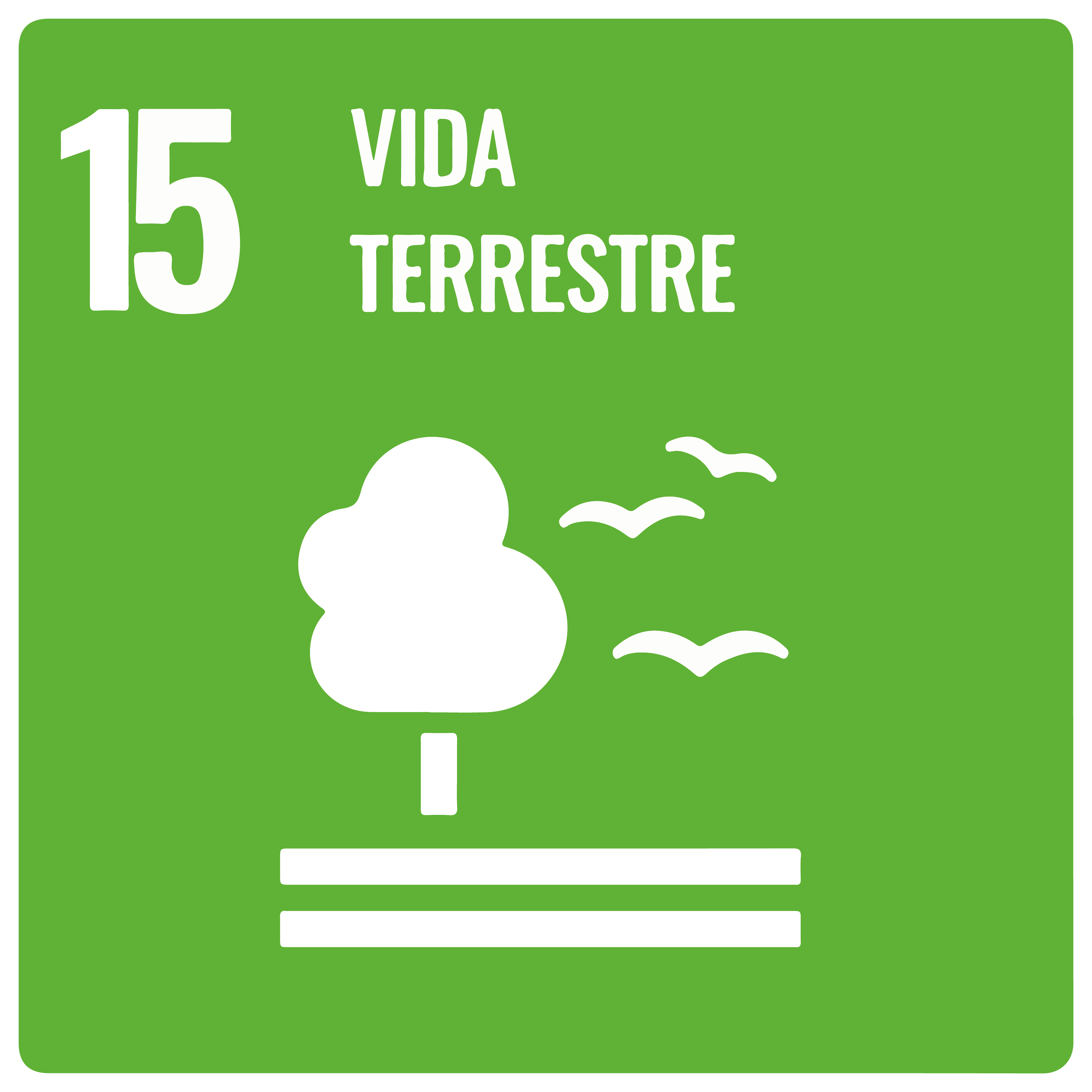 Na imagem, item 15 da ODS: Vida Terrestre