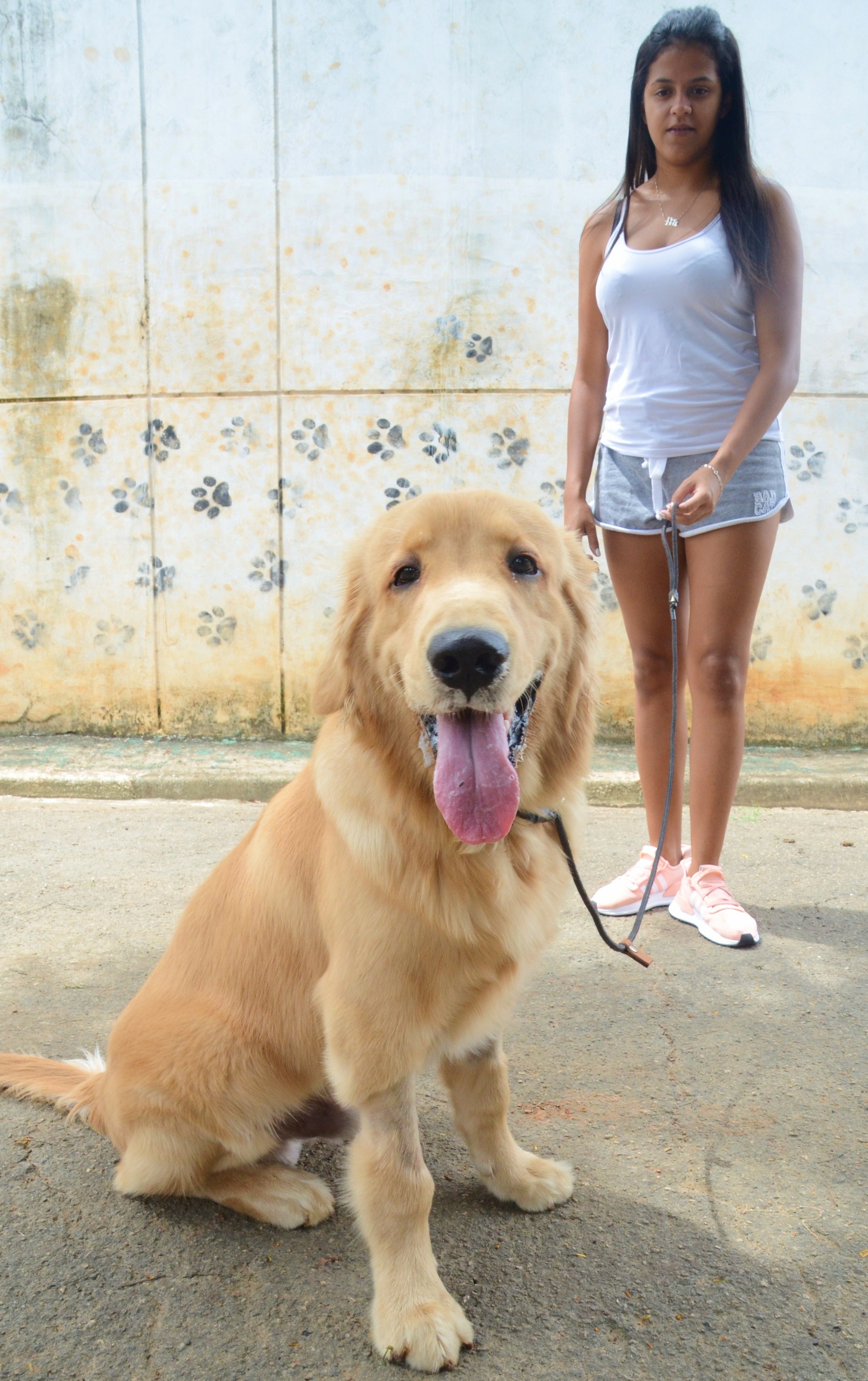 Na imagem, imagem dos cachorros nos Centros Esportivos. 