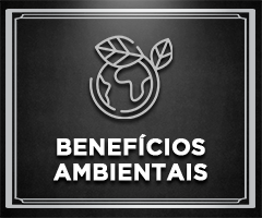 desenho minimalista do planeta terra e sobre ele um galho e duas folhas ao redor, abaixo os dizeres 'Banefícios Ambientais' sobre fundo preto e entre bordas brancas