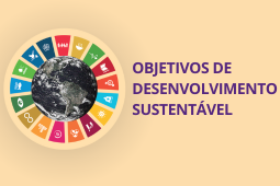 Em um fundo bege claro, uma colagem do globo terrestre é envolto pelos símbolos coloridos dos 17 Objetivos de Desenvolvimento Sustentável.