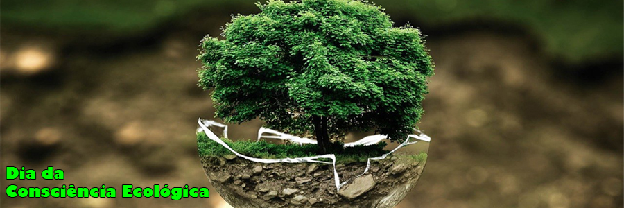 Uma mini árvore, com folhas verdes, está decorada dentro de um vaso branco