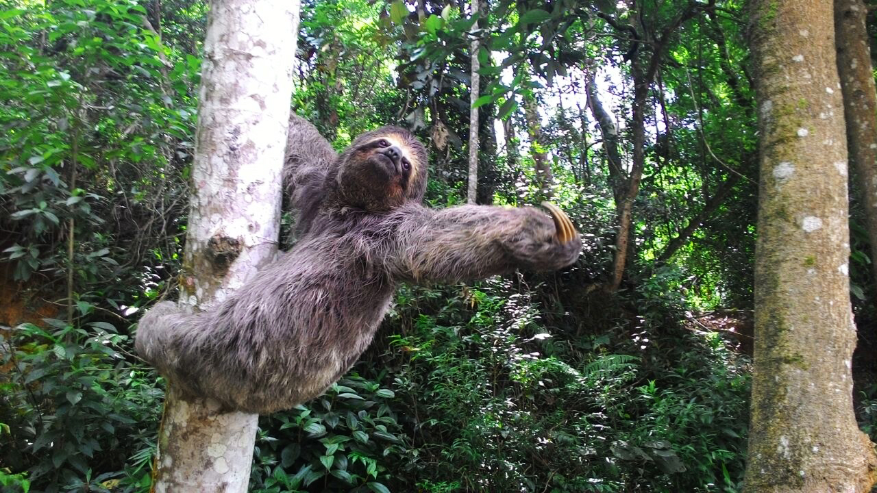 lugares com natureza em sp
